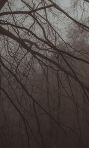 Preview wallpaper tree, branches, fog, haze, dark