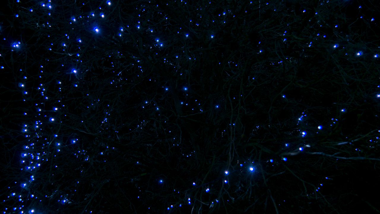 Wallpaper tree, branches, garland, light, blue, dark