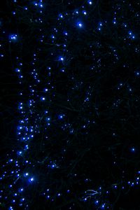 Preview wallpaper tree, branches, garland, light, blue, dark
