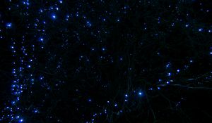 Preview wallpaper tree, branches, garland, light, blue, dark