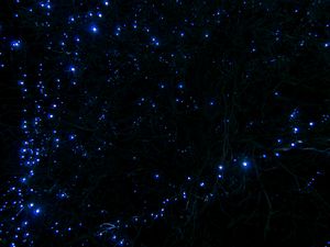Preview wallpaper tree, branches, garland, light, blue, dark