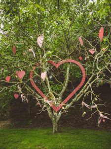 Preview wallpaper tree, branches, hearts, love