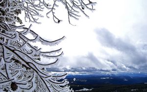 Preview wallpaper tree, branches, height, mountains