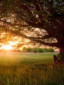 Preview wallpaper tree, branches, krone, sprawling, person, decline, evening, dreams, field