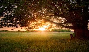 Preview wallpaper tree, branches, krone, sprawling, person, decline, evening, dreams, field