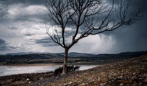 Preview wallpaper tree, branches, lake, hills, autumn