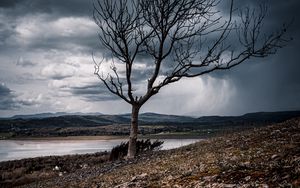 Preview wallpaper tree, branches, lake, hills, autumn