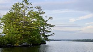 Preview wallpaper tree, branches, lake, waves, landscape