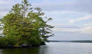 Preview wallpaper tree, branches, lake, waves, landscape