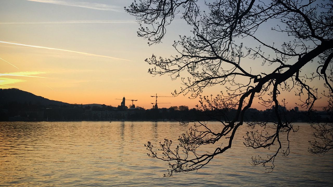 Wallpaper tree, branches, lake, evening