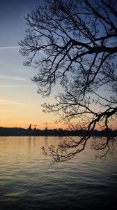 Preview wallpaper tree, branches, lake, evening