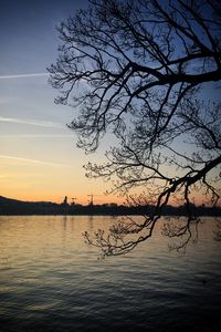 Preview wallpaper tree, branches, lake, evening