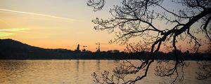 Preview wallpaper tree, branches, lake, evening