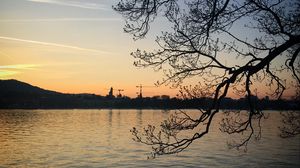 Preview wallpaper tree, branches, lake, evening