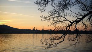 Preview wallpaper tree, branches, lake, evening