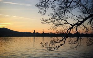 Preview wallpaper tree, branches, lake, evening