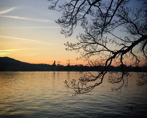 Preview wallpaper tree, branches, lake, evening