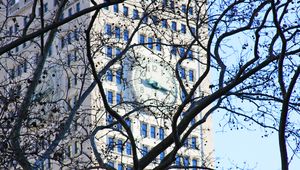 Preview wallpaper tree, branches, leaves, building, clock