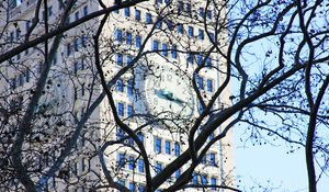 Preview wallpaper tree, branches, leaves, building, clock