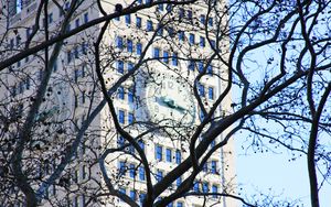 Preview wallpaper tree, branches, leaves, building, clock