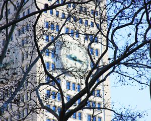 Preview wallpaper tree, branches, leaves, building, clock