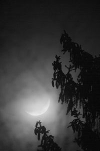 Preview wallpaper tree, branches, moon, fog, night, dark