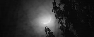 Preview wallpaper tree, branches, moon, fog, night, dark