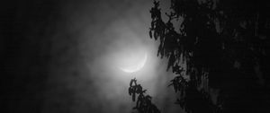 Preview wallpaper tree, branches, moon, fog, night, dark