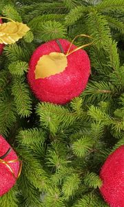 Preview wallpaper tree, branches, needles, christmas decorations, apples, new year, holiday, christmas