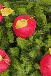 Preview wallpaper tree, branches, needles, christmas decorations, apples, new year, holiday, christmas