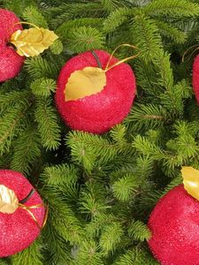 Preview wallpaper tree, branches, needles, christmas decorations, apples, new year, holiday, christmas