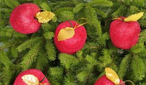 Preview wallpaper tree, branches, needles, christmas decorations, apples, new year, holiday, christmas