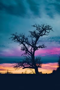 Preview wallpaper tree, branches, silhouette, sky, evening, dark