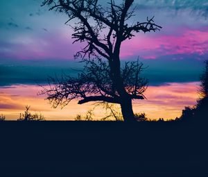 Preview wallpaper tree, branches, silhouette, sky, evening, dark