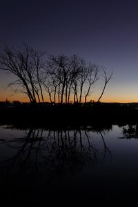 Preview wallpaper tree, branches, silhouette, dusk, lake