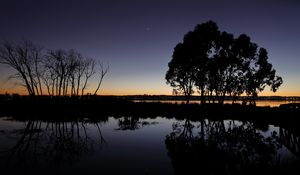 Preview wallpaper tree, branches, silhouette, dusk, lake