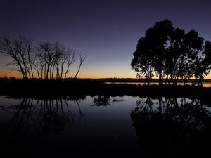 Preview wallpaper tree, branches, silhouette, dusk, lake