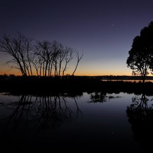 Preview wallpaper tree, branches, silhouette, dusk, lake