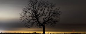 Preview wallpaper tree, branches, silhouette, clouds, twilight, dark