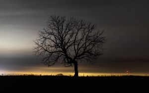 Preview wallpaper tree, branches, silhouette, clouds, twilight, dark