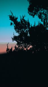 Preview wallpaper tree, branches, silhouette, dark, dusk
