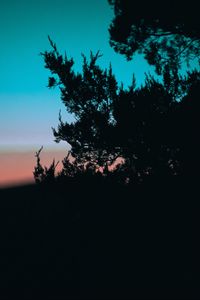 Preview wallpaper tree, branches, silhouette, dark, dusk