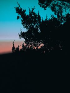 Preview wallpaper tree, branches, silhouette, dark, dusk