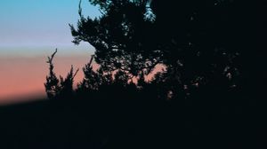 Preview wallpaper tree, branches, silhouette, dark, dusk