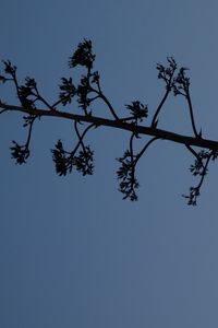 Preview wallpaper tree, branches, silhouette, moon, minimalism