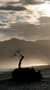 Preview wallpaper tree, branches, silhouette, mountain