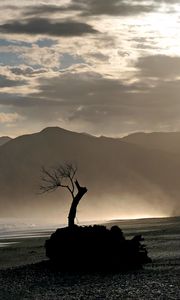 Preview wallpaper tree, branches, silhouette, mountain
