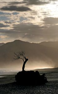 Preview wallpaper tree, branches, silhouette, mountain