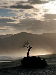 Preview wallpaper tree, branches, silhouette, mountain