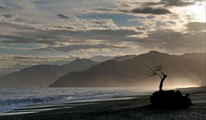 Preview wallpaper tree, branches, silhouette, mountain